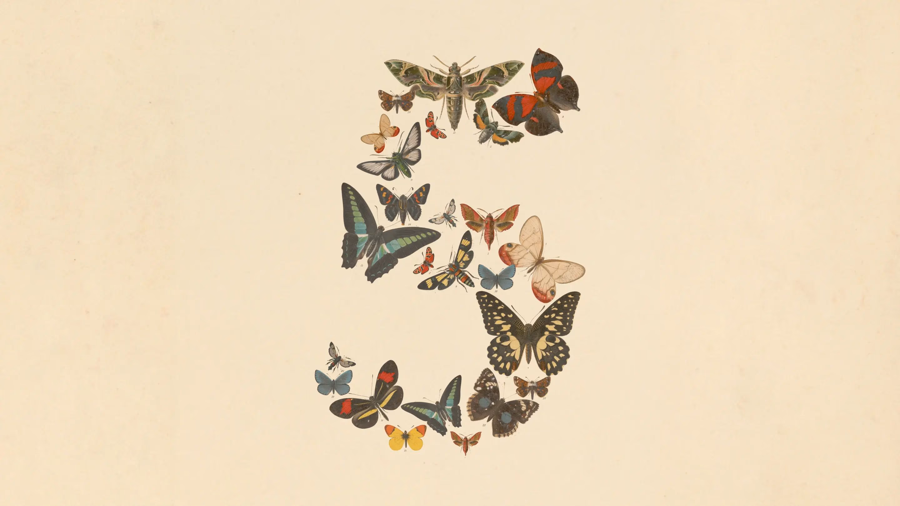 AI That Codes for Days Is Here. What Claude Fable 5 Means for Your Business